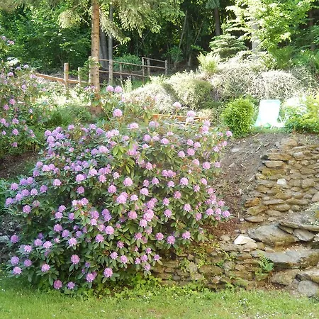 Haus Am Wald * Steindorf am Ossiacher See